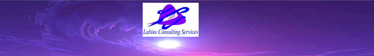 Labvins Labins Consulting Services