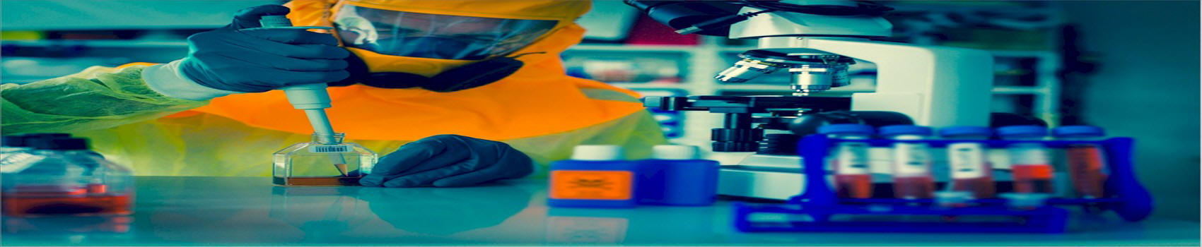 Labvins Labins Consulting Services