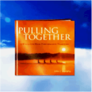 The Power of Pulling Together