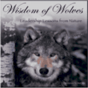 The Wolf – Leadership lessons from Nature.