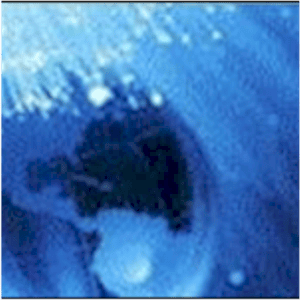 Inspirational and Motivational Quotations